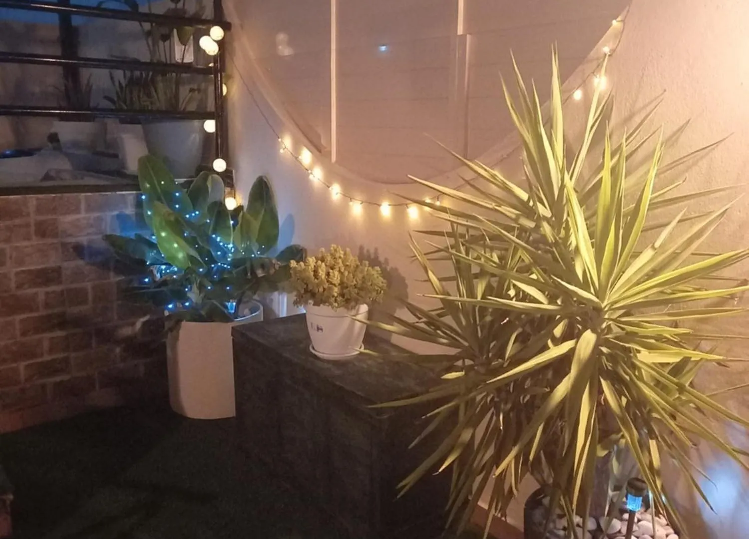 Atico Con Piscina Privada Lejlighed Vera Spanien